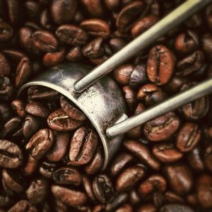 Kaffeebohnen